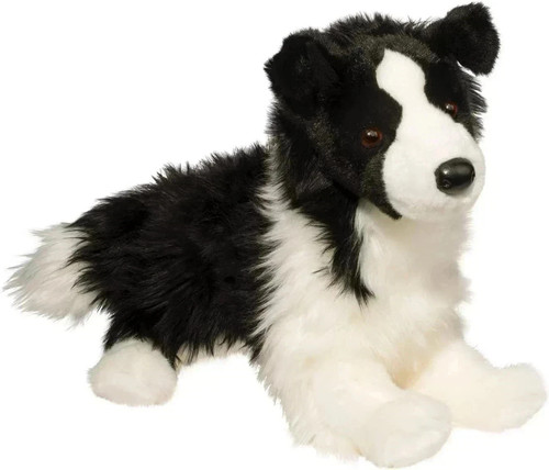 Chase border collie - chase,