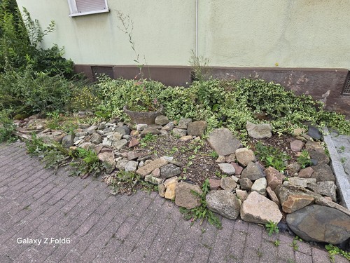 Natursteine verschenken - verschenken, –