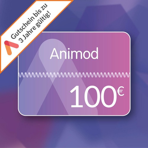 100 euro animod hotel - 100,
